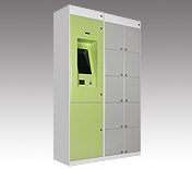 ������/Ь��